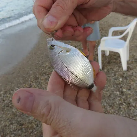 Lejlighed Kymata By Anastasia *